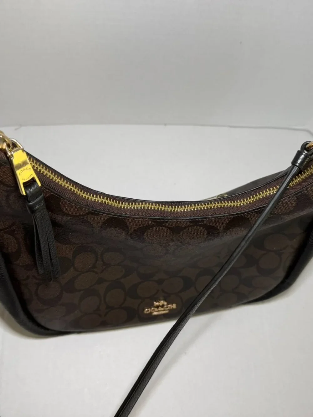 Coach Jules Hobo in Signature Canvas